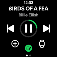 Spotify APK 20