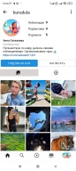 Stogram screenshot