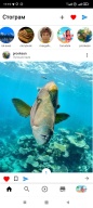 Stogram screenshot