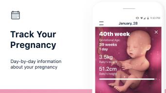 Stork Pregnancy & Baby Tracker APK screenshot