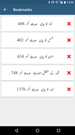 Sunan an Nasai APK screenshot