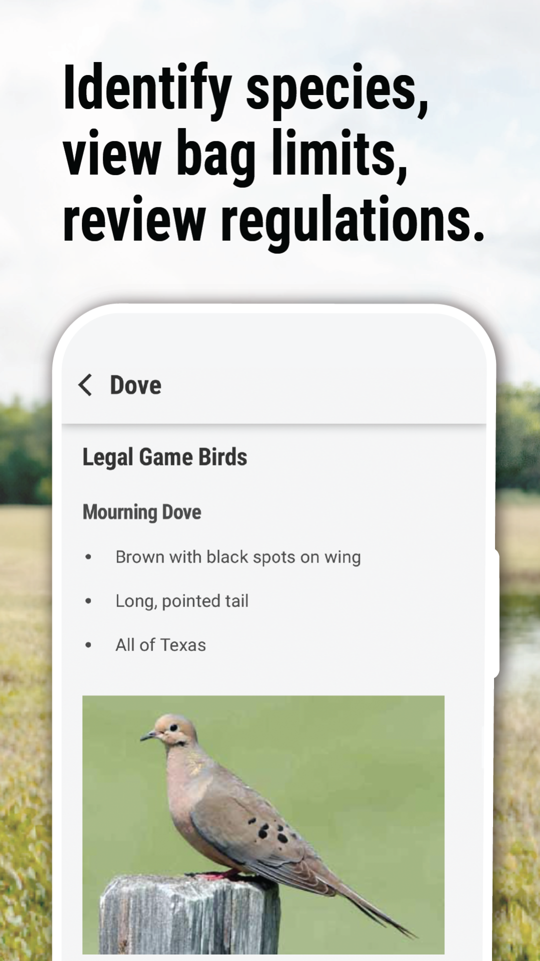 Texas Outdoor Annual APK screenshot