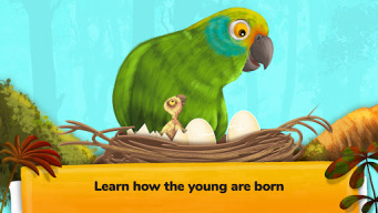 The Animals: Animal Kids Games APK screenshot