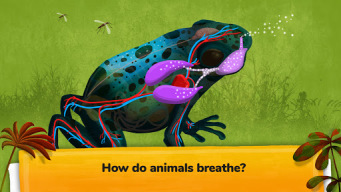 The Animals: Animal Kids Games APK screenshot