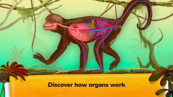 The Animals: Animal Kids Games APK screenshot