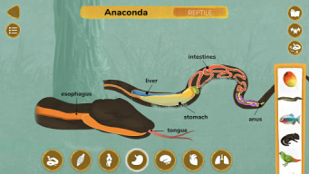The Animals: Animal Kids Games APK screenshot
