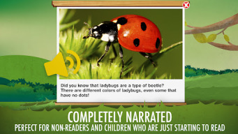 The Bugs I: Insects? APK screenshot