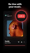 TIDAL 2