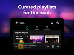 TIDAL 20