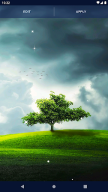Tree Forest Live Wallpaper APK screenshot