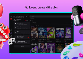 Twitch screenshot