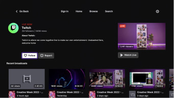 Twitch screenshot