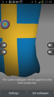 Virtual Flag screenshot