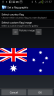 Virtual Flag screenshot