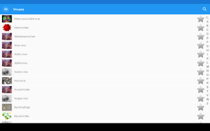 Viruses screenshot
