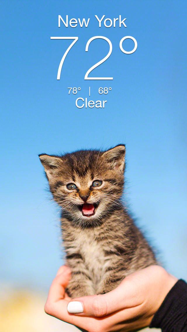 Weather Kitty - App & Widget APK screenshot