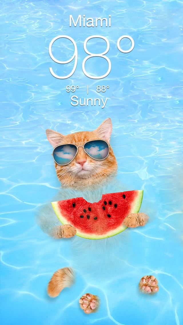 Weather Kitty - App & Widget APK screenshot