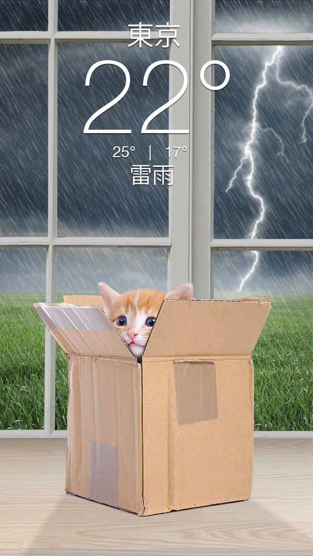 Weather Kitty - App & Widget APK screenshot