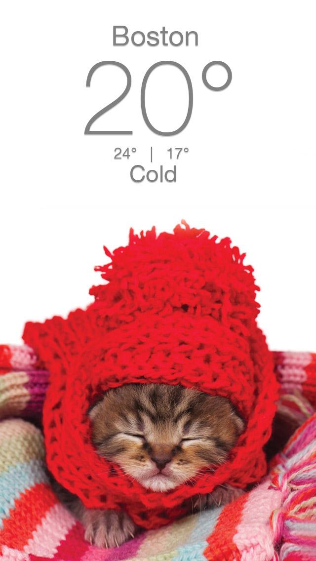 Weather Kitty - App & Widget APK screenshot