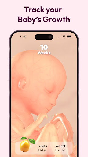 WeMoms Pregnancy Baby Tracker APK screenshot