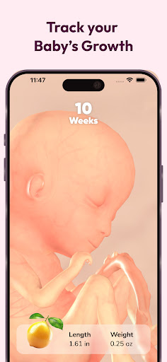 WeMoms Pregnancy Baby Tracker APK screenshot