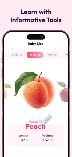 WeMoms Pregnancy Baby Tracker APK screenshot