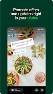 WhatsApp Business 2