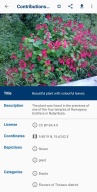 Wikimedia Commons APK screenshot