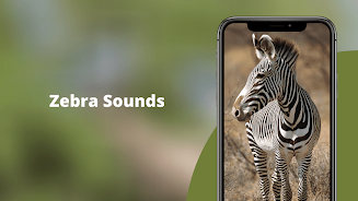 Zebra Sounds APK 1