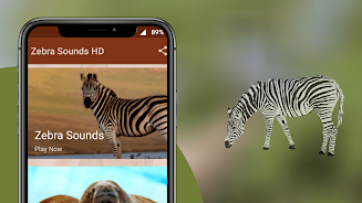 Zebra Sounds APK 2