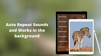 Zebra Sounds APK 3