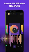 ZEDGE 22