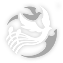 скачать HSR бесплатно