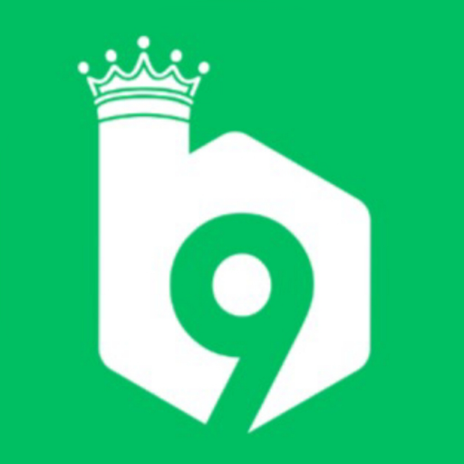 B9 Game apk