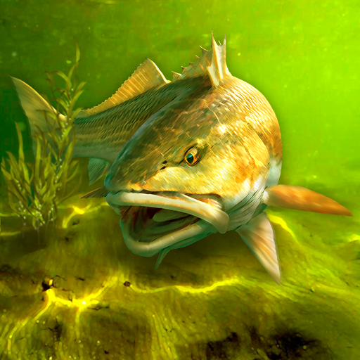 My Fishing World APK apk