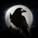 NIGHT CROWS apk icon