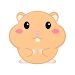 Tapping The Hamster APK icon