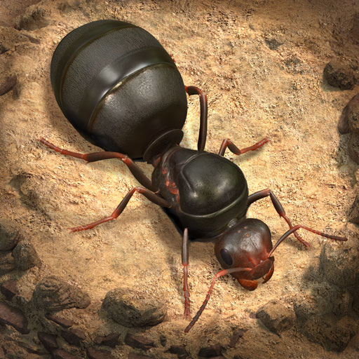 The Ants APK apk