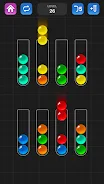 Ball Sort Puzzle - Color Game 3