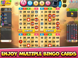 Bingo Drive APK screenshot