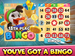 Bingo Drive APK screenshot