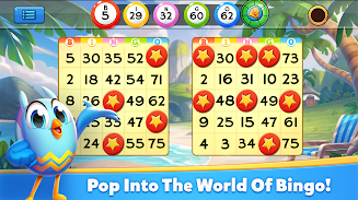 Bingo Pop 1