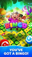 Bingo Voyage - Live Bingo Game 2