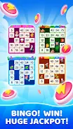 Bingo Voyage - Live Bingo Game 3