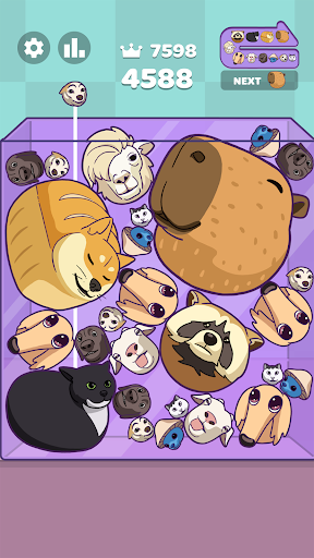 Meme Merge: Drop Puzzle APK 1