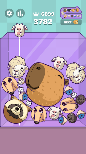 Meme Merge: Drop Puzzle APK 2