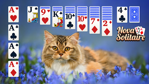 Classic Solitaire : Card Game APK screenshot