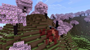 Craftsman 5 screenshot