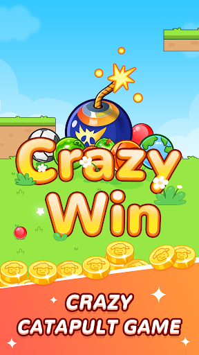 Crazy Win 1