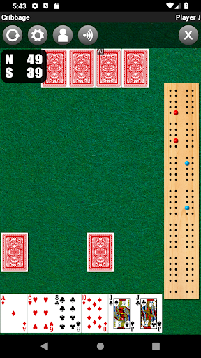 Cribbage APK screenshot
